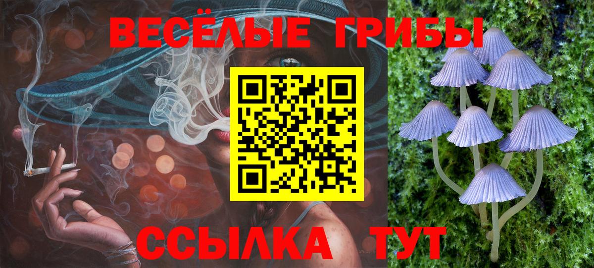 Псилоцибиновые грибы MAGIC MUSHROOMS  Вход с VPN  Тимашёвск  Псилоцибиновые грибы мухоморы 